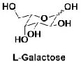 l-galactose  