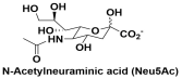 N-Acetylneuraminic acid (Neu5Ac) 