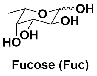 L-Fucose 