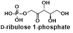 D-ribulose 1-phosphate     