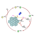 JUC-640-Co  三维超大孔COFs   科研