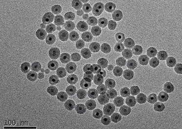 Gold Composite Nanoparticles  