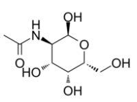 N-acetyl-D-galactosamine  