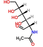 N-Acetyl-D-mannosamine  