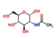	N-acetyl-α-D-glucosamine  