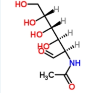 N-Acetyl-D-glucosamine 
