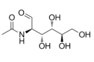 N-acetyl-D-glucosamine 