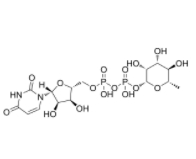 UDP-rhamnose  
