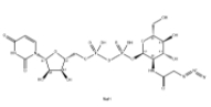 	UDP-GlcNAz disodium  