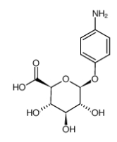 对氨基苯基-beta-D-葡萄糖醛酸苷  