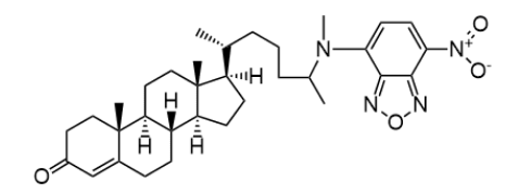 25-NBD cholest-4-en-3-one