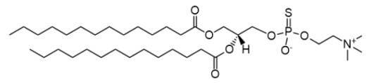 Thio-DMPC
