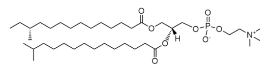 a15:0-i15:0 PC |  CAS：2936622-22-7 | 1-（12S甲基肉豆蔻酰）-2-（13甲基肉豆蔻酰基）-sn-甘油-3-磷酸胆碱
