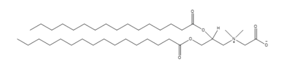 16:0 CB (DPCB)  二棕榈酰rac-甘油-3-碳甜菜碱 dipalmitoyl-rac-glycero-3-carbobetaine