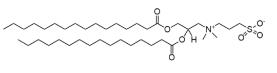 16:0 SB (DPSB)  二棕榈酰-rac-甘油-3-磺基甜菜碱   dipalmitoyl-rac-glycero-3-sulfobetaine