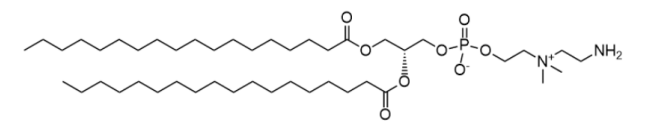 18:0 aminoethyl PC ，CAS：2389048-39-7