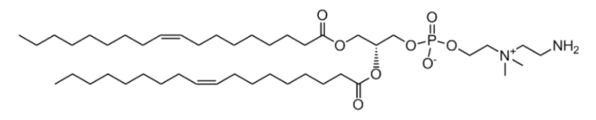 18:1 aminoethyl PC | 2342573-67-3 |  1,2-dioleoyl-sn-glycero-3-phosphocholine (N-aminoethyl)