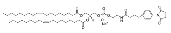 CAS384835-49-8，18:1 MPB PE
