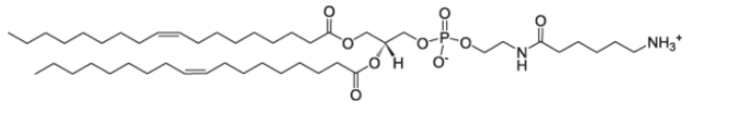 CAS 110796-31-1  18:1 Caproylamine PE 