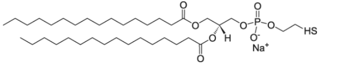 CAS 474923-39-2 16:0 Ptd Thioethanol  1,2-Dipalmitoyl-sn-Glycero-3-Phosphothioethanol (Sodium Salt)
