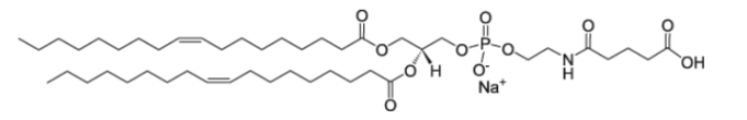 CAS ：111516-02-0  18:1 Glutaryl PE   18:1谷氨酰胺PE