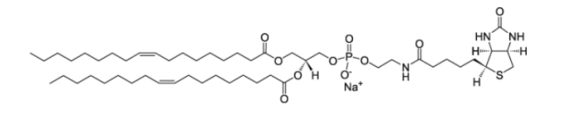 CAS：384835-53-4，18:1 Biotinyl PE ，1,2-dioleoyl-sn-glycero-3-phosphoethanolamine-N-(biotinyl) (sodium salt)
