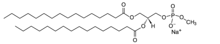 16:0 Phosphatidylmethanol 