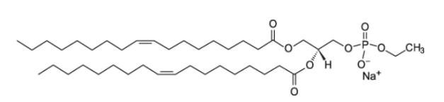 18:1 Phosphatidylethanol