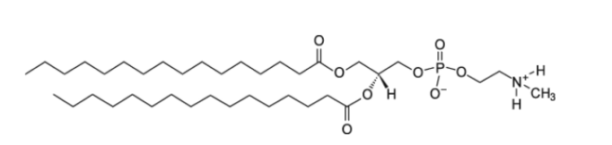 cas:3930-13-0 | 16:0 Monomethyl PE |  1,2-二棕榈酰-sn-甘油-3-磷酸乙酰胺-N-甲基