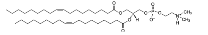 CAS编号：96687-22-8，18:1 Dimethyl PE ，1,2-二醇基-sn-甘油-3-磷酸乙酰胺-N，N-二甲基