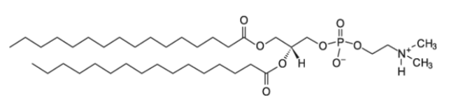 3922-61-0，16:0 Dimethyl PE ，1,2-二棕榈酰-sn-甘油-3-磷酸乙酰胺-N，N-二甲基