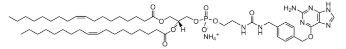 CAS:2315262-37-2;  18:1 PE-benzylguanine;  18:1 PE苄基鸟嘌呤