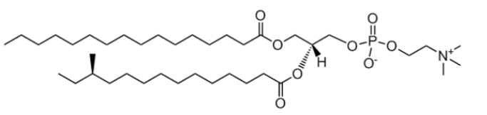 CAS:2260669-88-1 16:0-a15:0 PC  1-palmitoyl-(12S-methylmyristoyl)-sn-glycero-3-phosphocholine