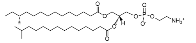  CAS:2936622-21-6 a15:0-i15:0 PE  一种含2个支链的二酰基磷脂酰乙醇胺 