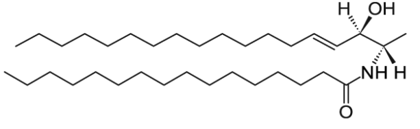  CAS Number：1246298-56-5 N-C16-deoxysphingosine   N-palmitoyl-1-deoxysphingosine (m18:1/16:0)