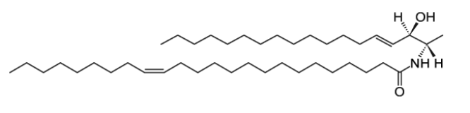 CAS:1246298-58-7  N-C24:1-脱氧鞘氨醇  N-C24:1-deoxysphingosine 