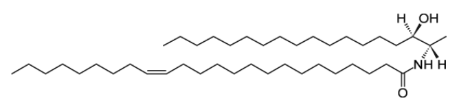 CAS:1246298-60-1  N-C24:1-deoxysphinganine   N-nervonoyl-1-deoxysphinganine (m18:0/24:1)  