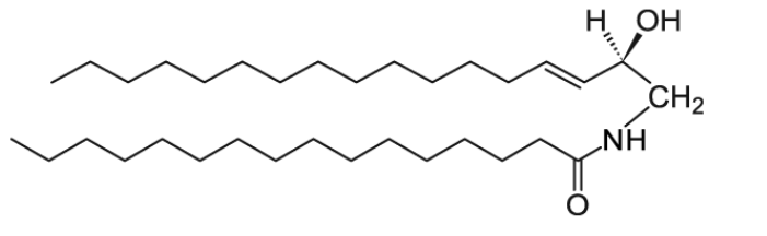  CAS 1246298-57-6 | N-C16-desoxymethylsphingosine g