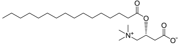 C16 Carnitine  CAS:1935-18-8 棕榈酰L-肉碱
