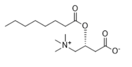 CAS:25243-95-2  C8:0 L-carnitine 辛酰基L-肉碱