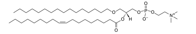 CAS:95403-34-2  C16-18:1 PC   1-O-hexadecyl-2-oleoyl-sn-glycero-3-phosphocholine 