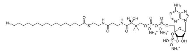 CAS:2260670-37-7 16:0 Azido Coenzyme A 
