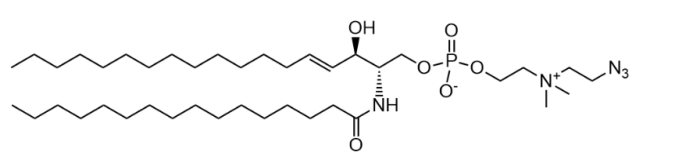 CAS:2389048-43-3 16:0 Azidoethyl SM (d18:1/16:0) 