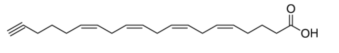 CAS:1219038-32-0   arachidonic acid-alkyne
