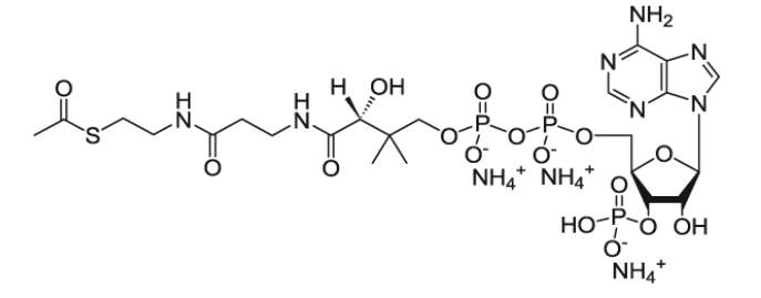 CAS:799812-78-5 02:0 Coenzyme A  acetoyl Coenzyme A (sodium salt)