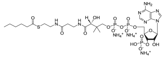 CAS:799812-81-0 | 06:0 Coenzyme A | hexanoyl Coenzyme A (ammonium salt)