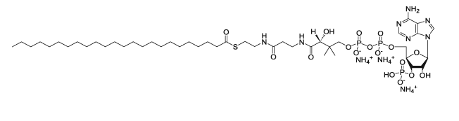 CAS:799812-99-0 24:0 Coenzyme A   lignoceroyl Coenzyme A (ammonium salt)