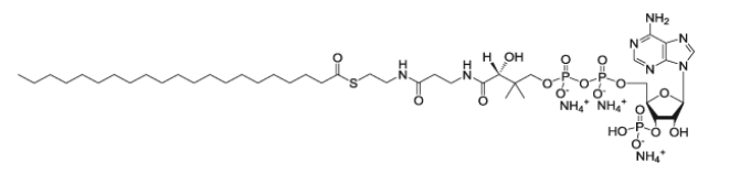 CAS:103404-53-1 21:0 Coenzyme A   heneicosanoyl Coenzyme A (ammonium salt)