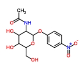 PNP-GlcNAc