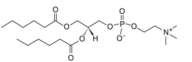 CAS:34506-67-7 06:0 PC (DHPC)   1,2-dihexanoyl-sn-glycero-3-phosphocholine